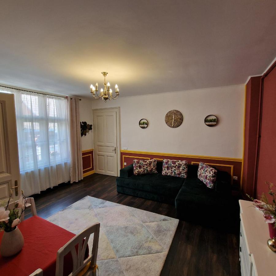 Central Park Apartment Sighișoara Zewnętrze zdjęcie