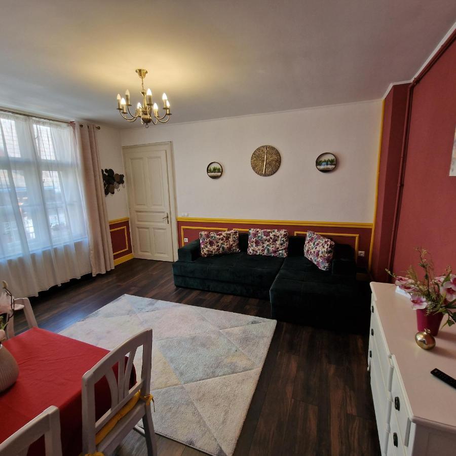 Central Park Apartment Sighișoara Zewnętrze zdjęcie