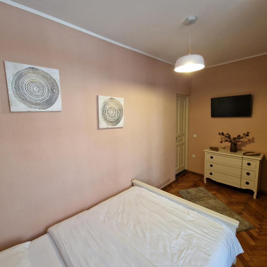 Central Park Apartment Sighișoara Zewnętrze zdjęcie