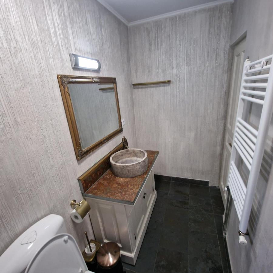 Central Park Apartment Sighișoara Zewnętrze zdjęcie